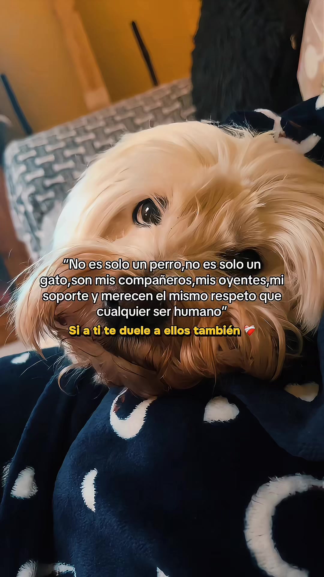 @Ale Castillo