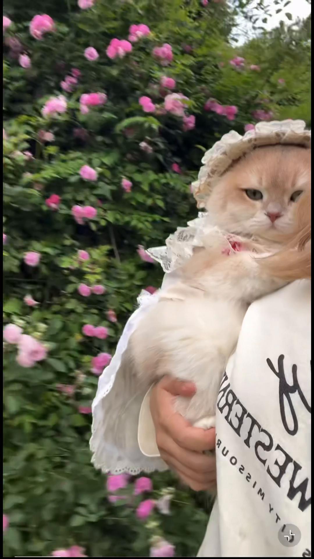 @My Daily Dose of Aww