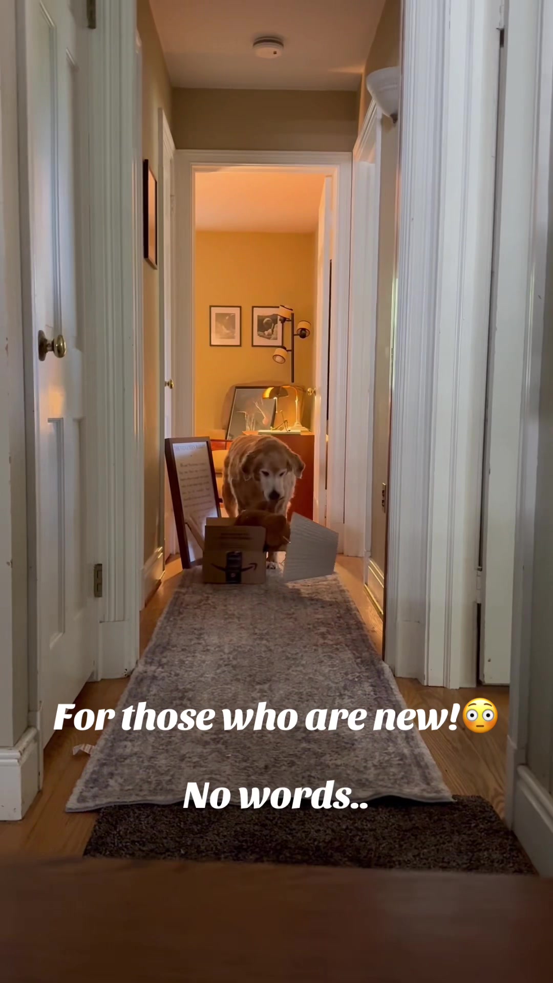 @lifewithduke2025