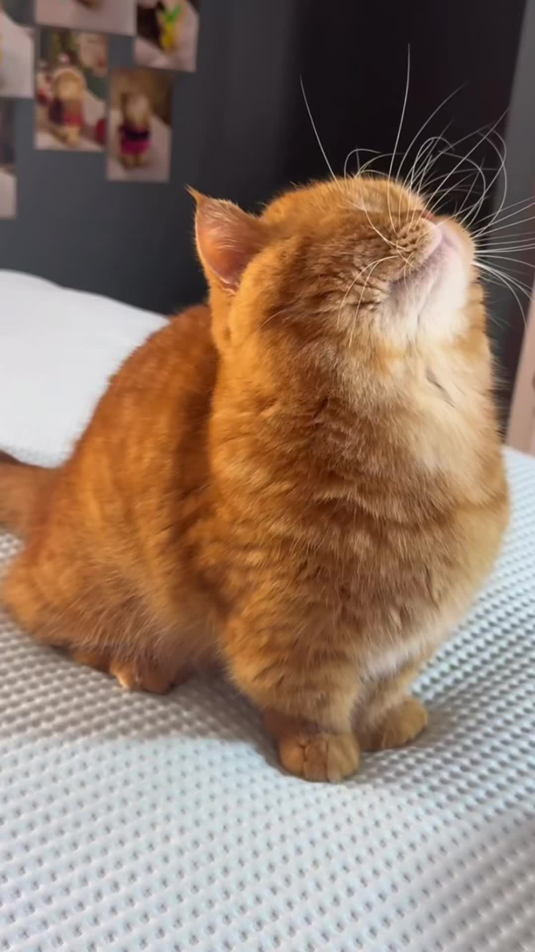 @My Daily Dose of Aww