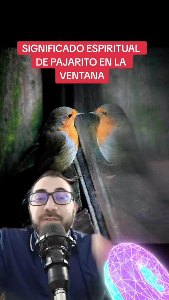@Jorge Bechara 𓂀