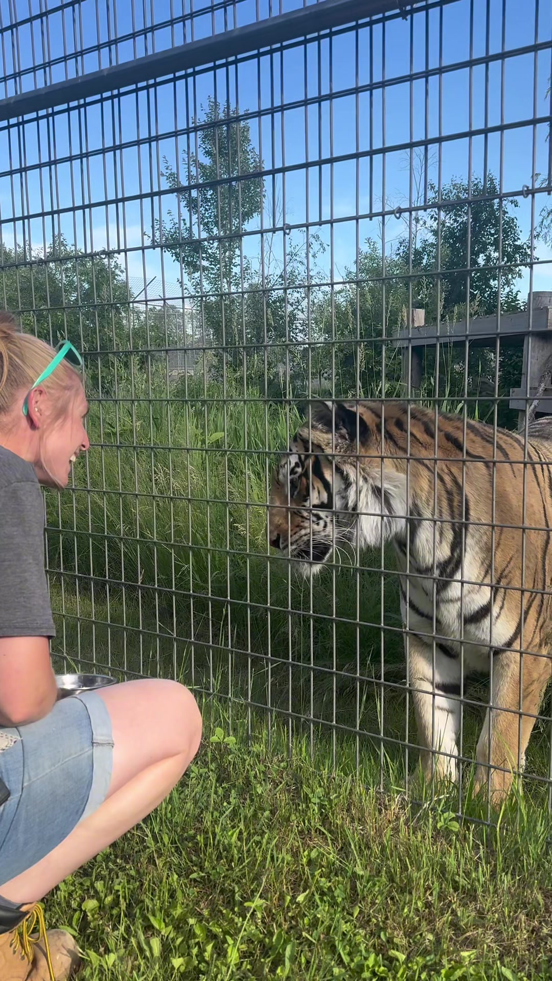 @The Wildcat Sanctuary