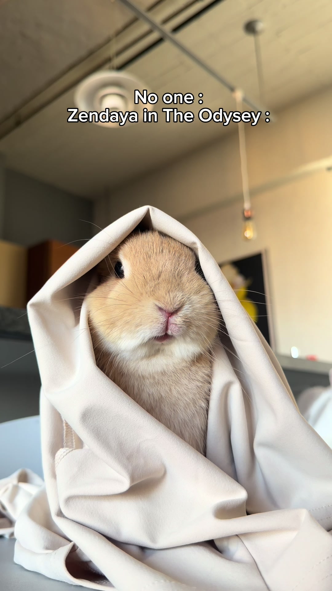 @Bunnydayoff