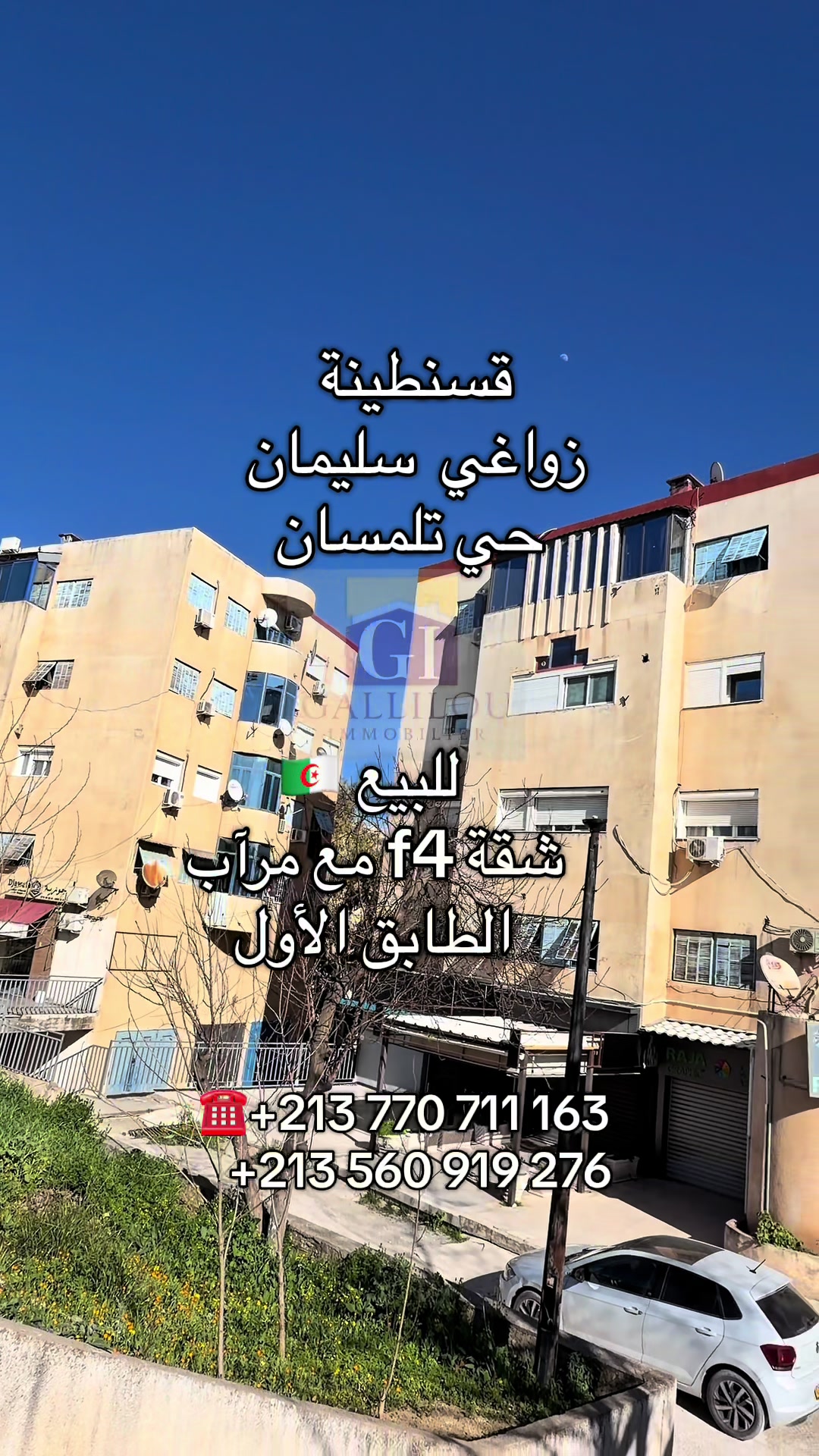 @Gallilou immobilier