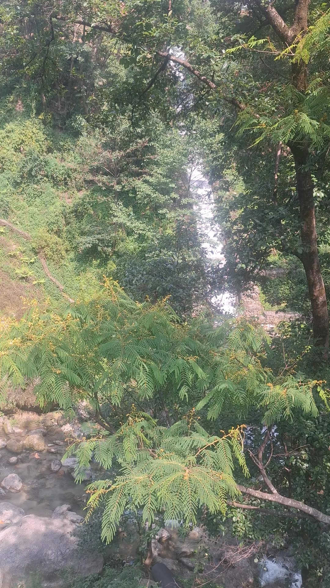 @Ram Lama pakhrin