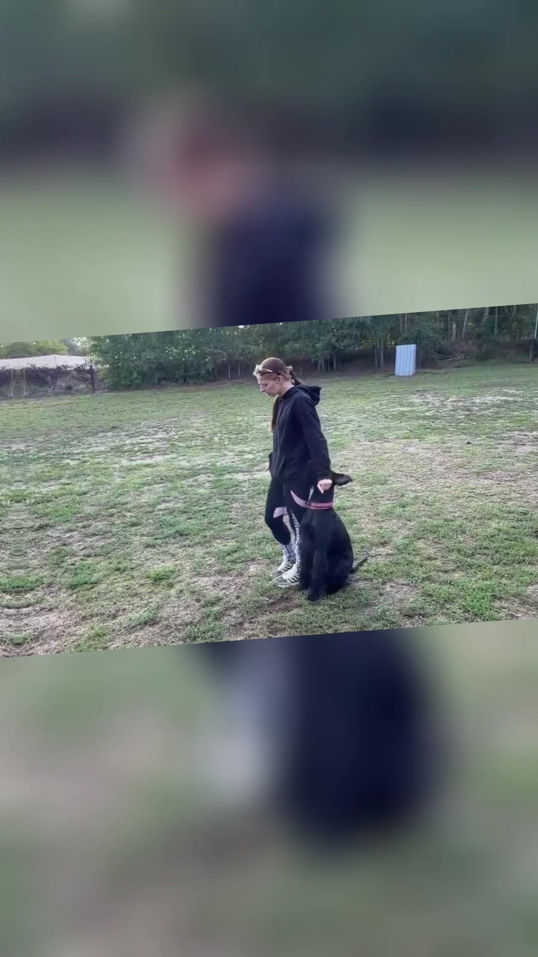 @Jasi&Tobi Dogsport