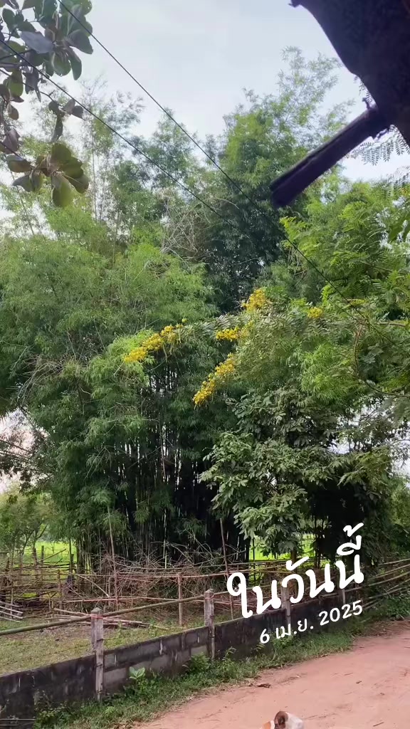 @ศราวุฒิ 