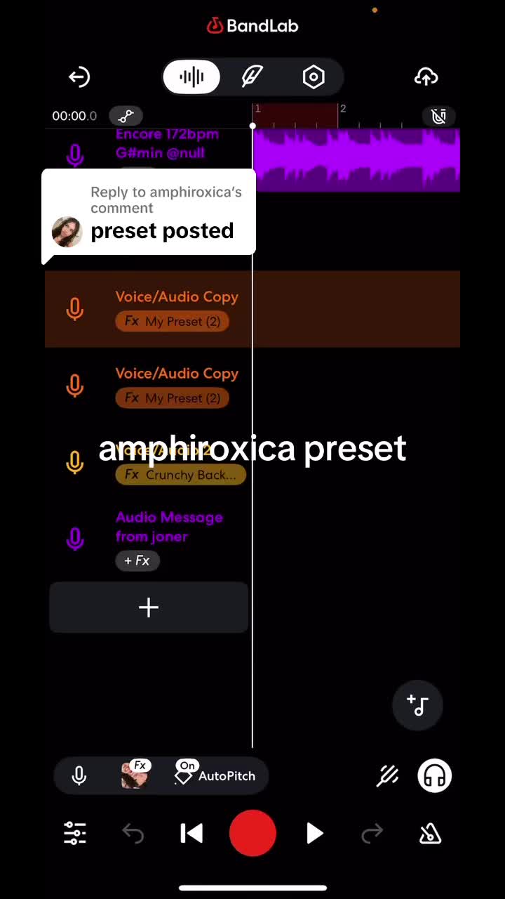 @amphiroxica