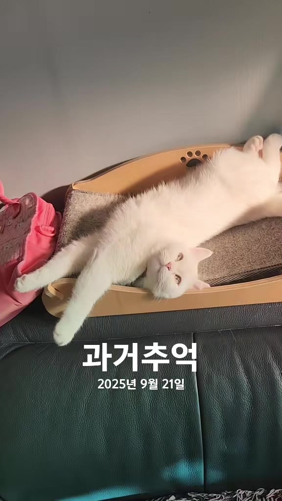 @박씨 거실