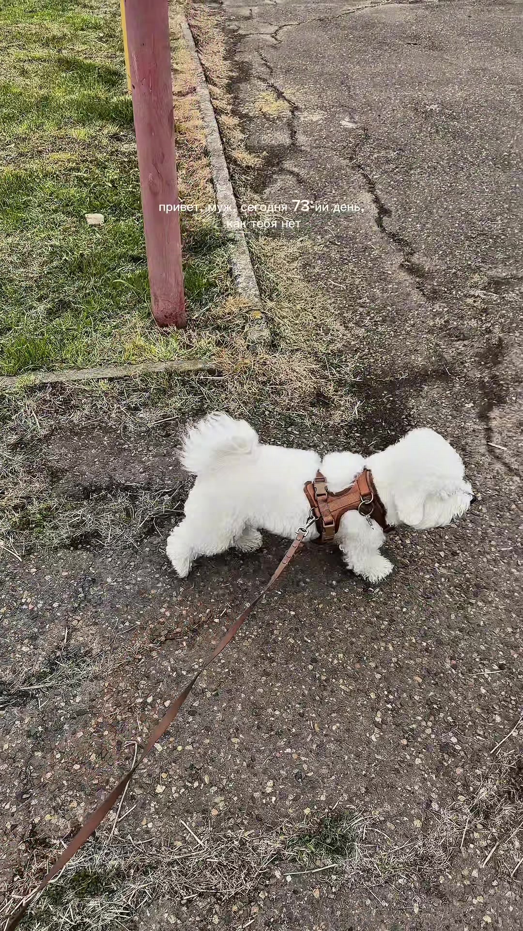 @Проживаю утрату мужа💔😭