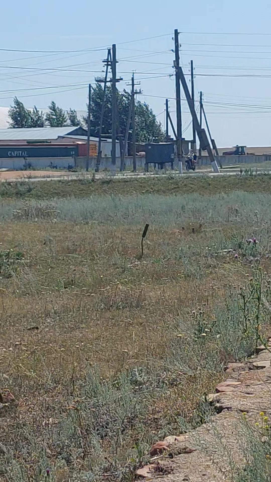 @Гульмирамама