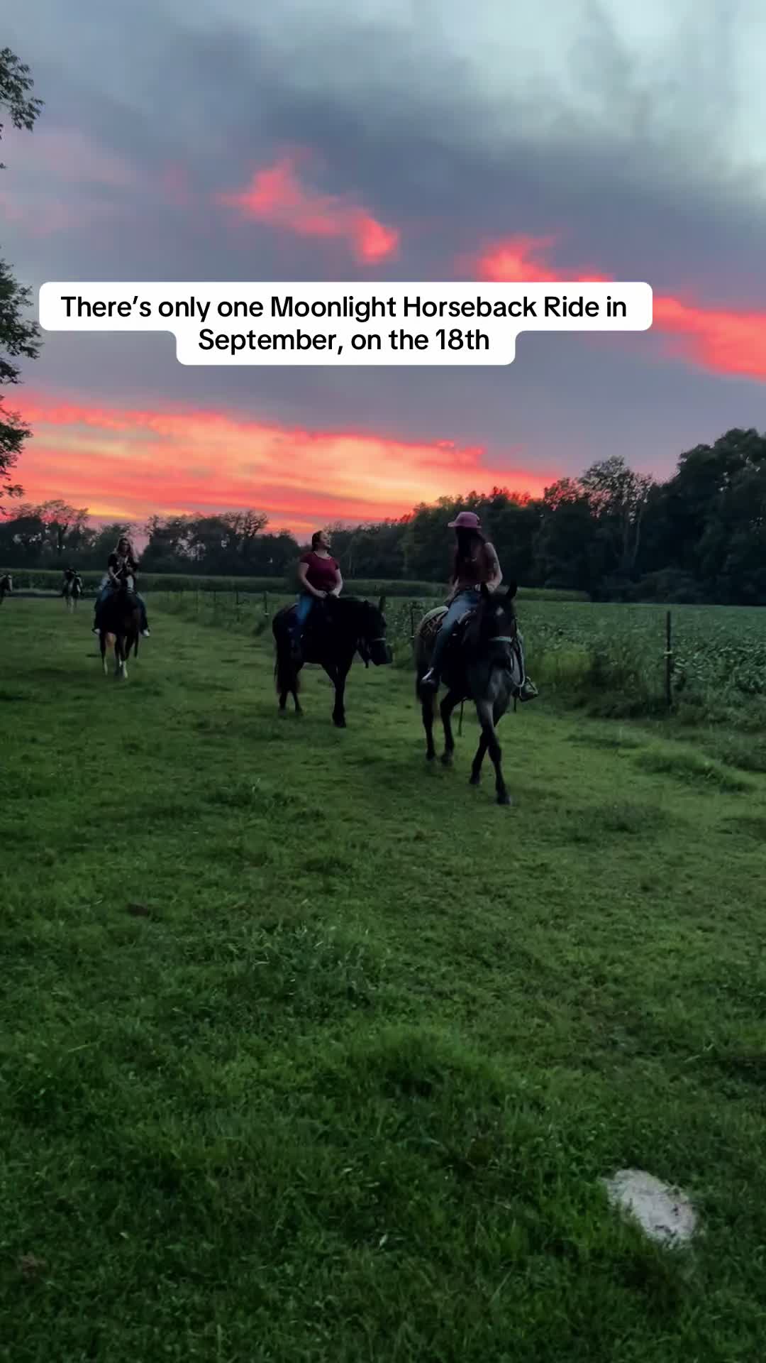 @SaddleSnaps