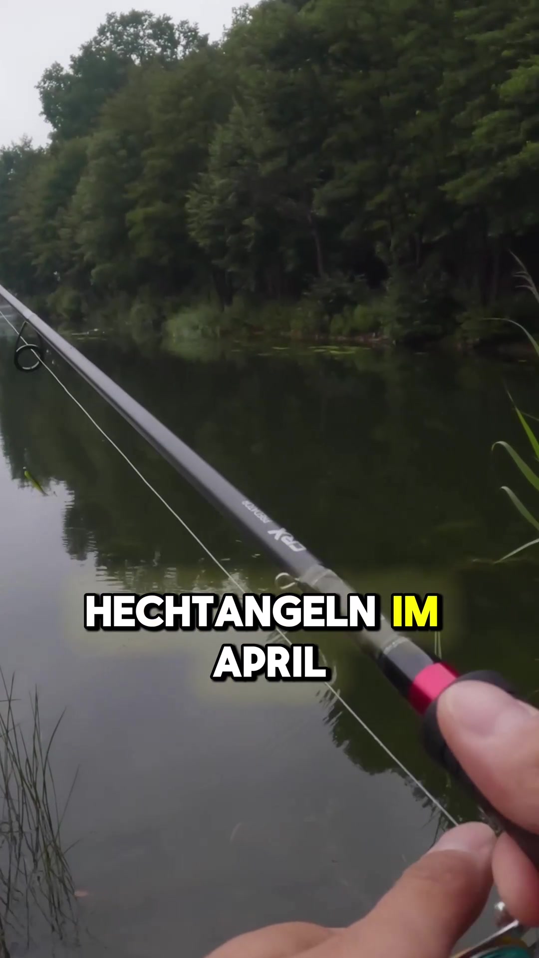 @Fischbulette