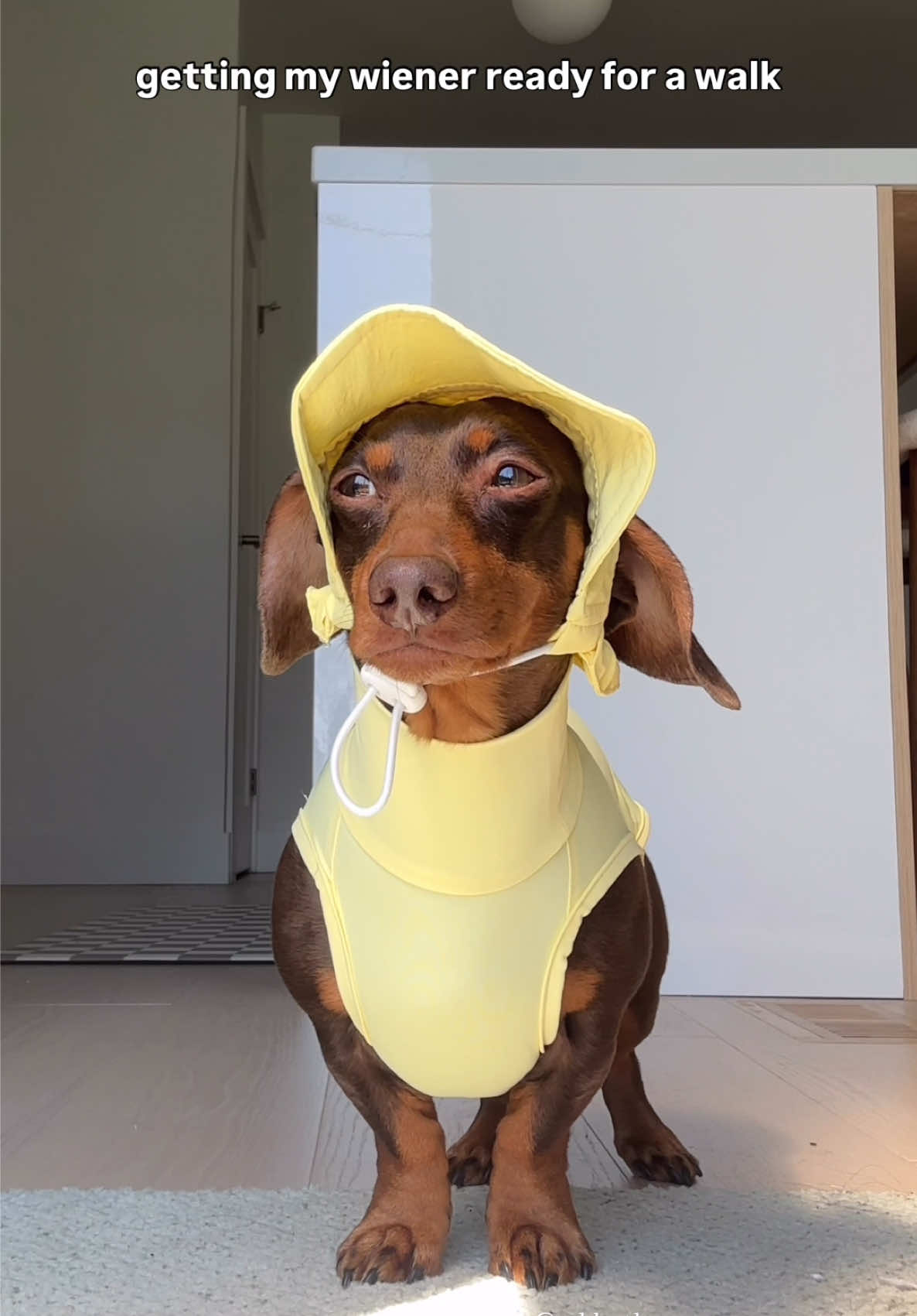 @sebbythesausage