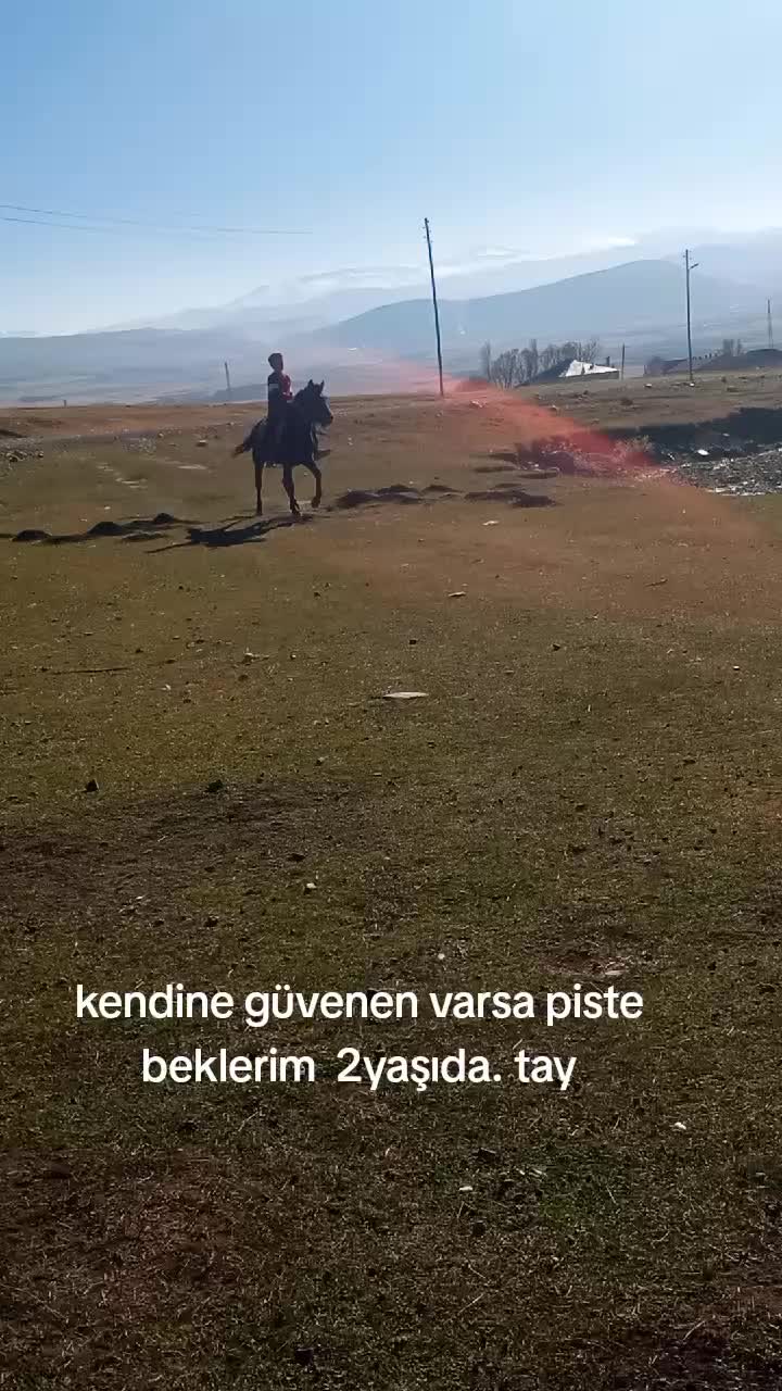 @Murat demir