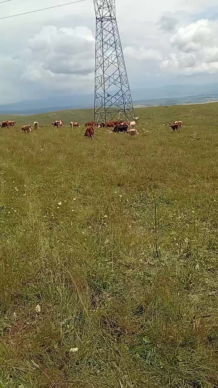 @erhan75