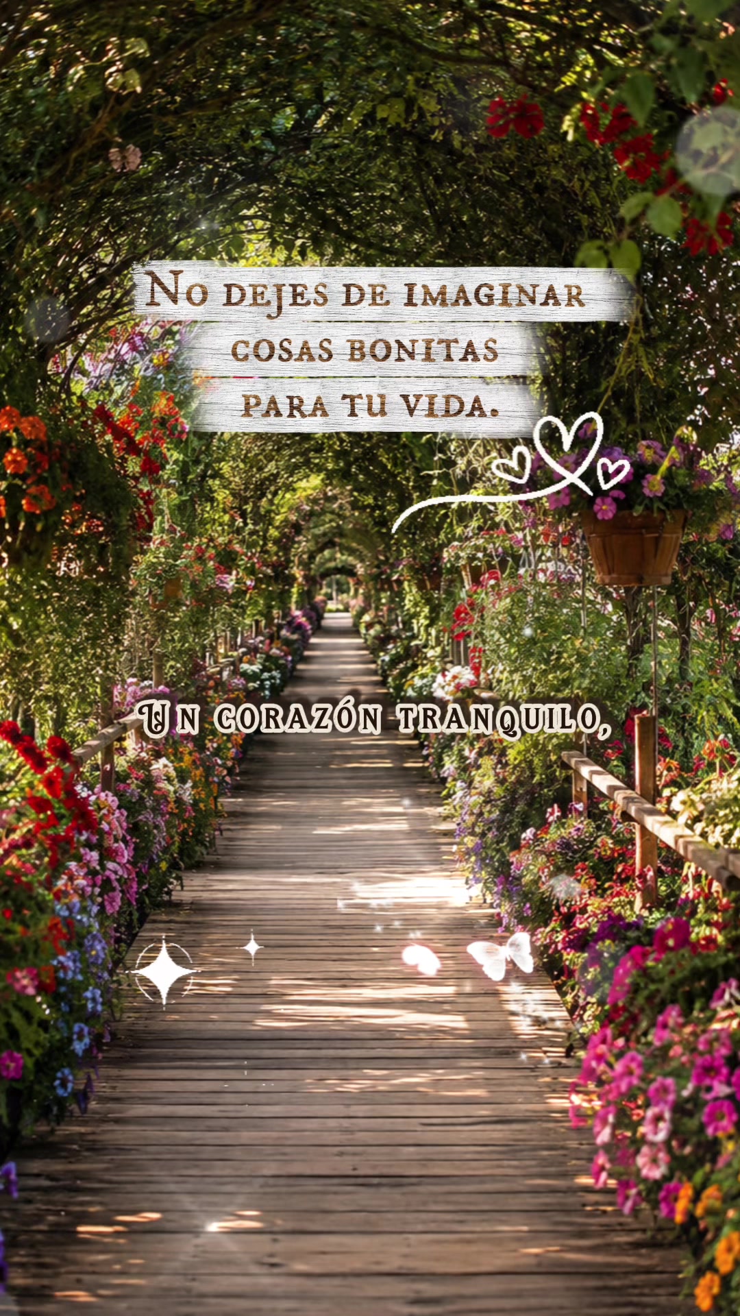 @almayoss1