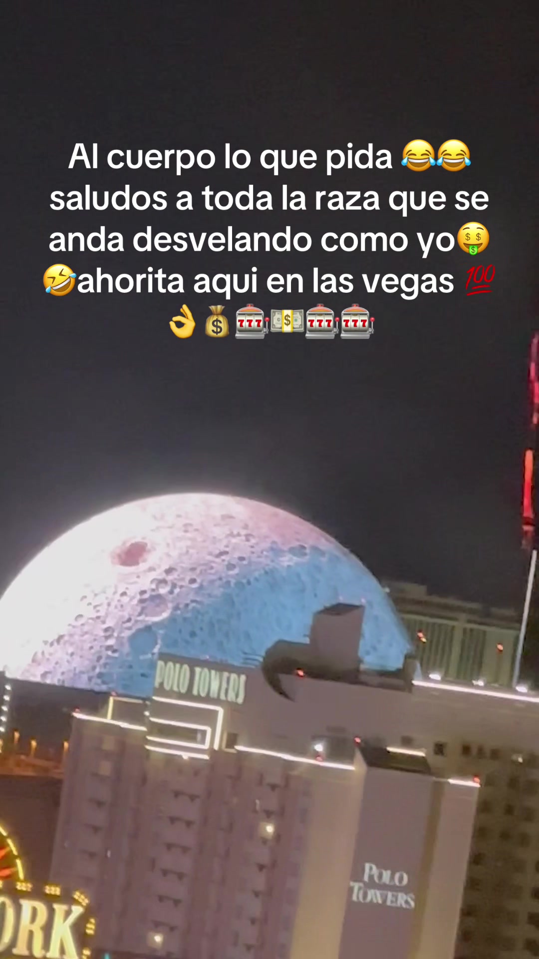 @_el24leo