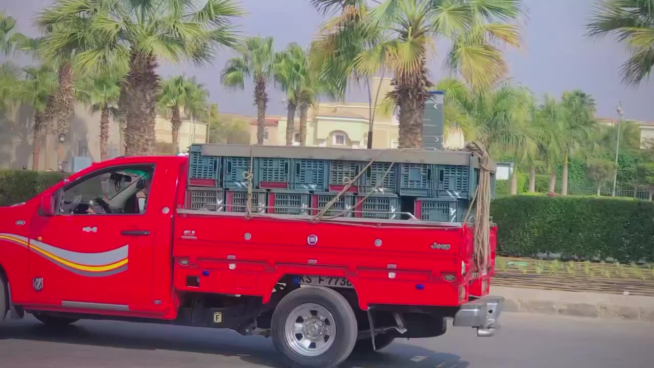 @فرولايةة بني سويف 🍓