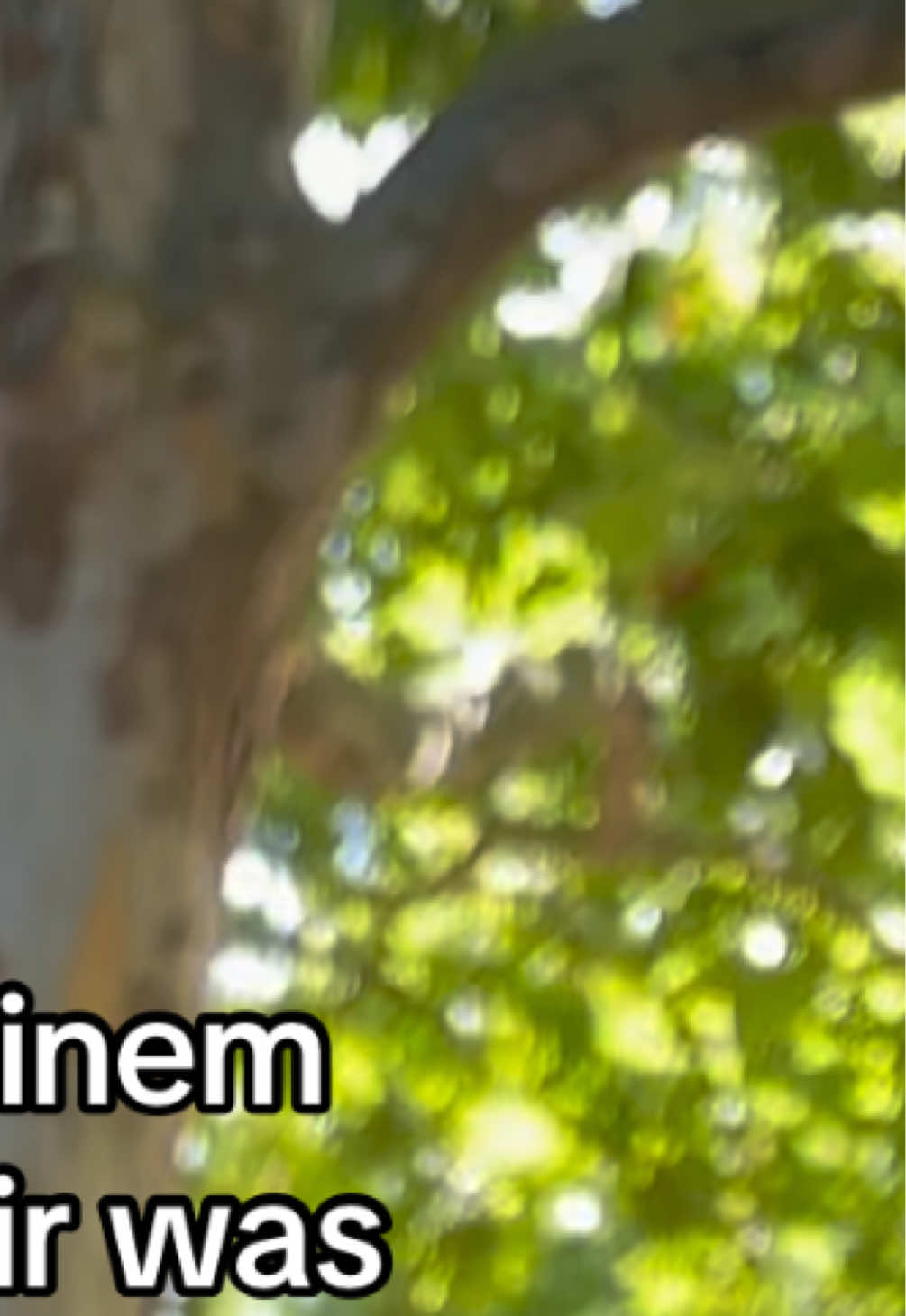 @eren.38v