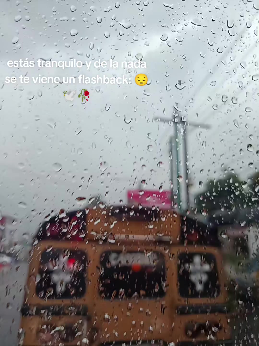 @Taylor Montoya 🧿🕳️