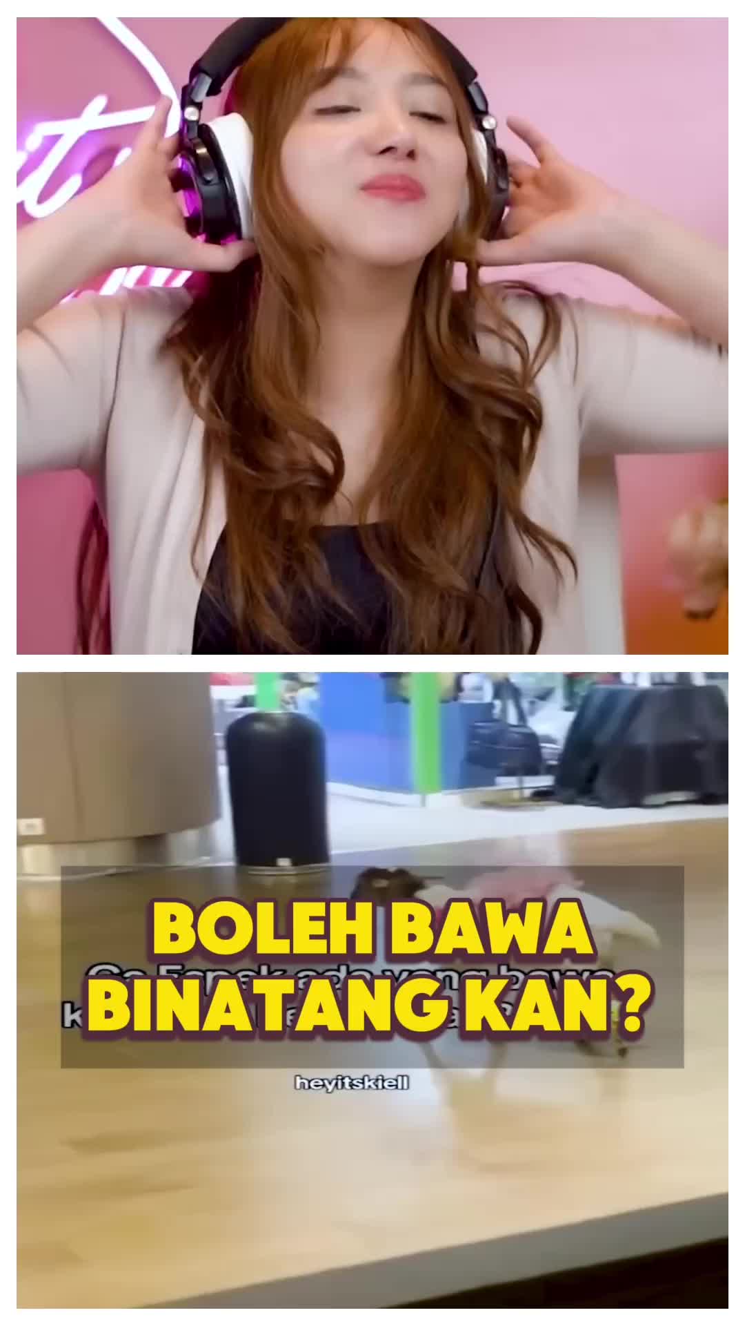 @Meiniac