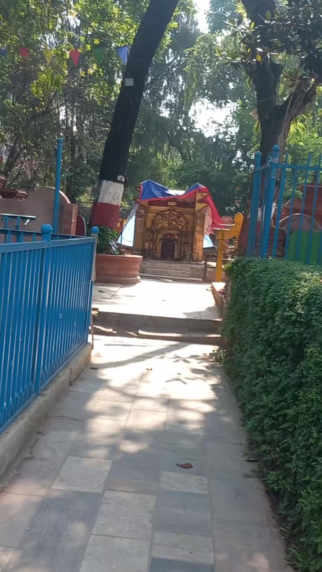 @Sabitri Nepal