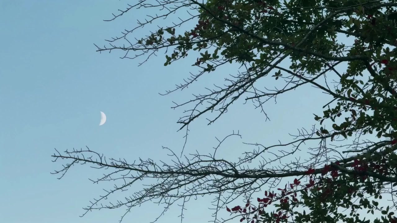 @ꫝϻ.. ℳꫝƦՄҒ🫀