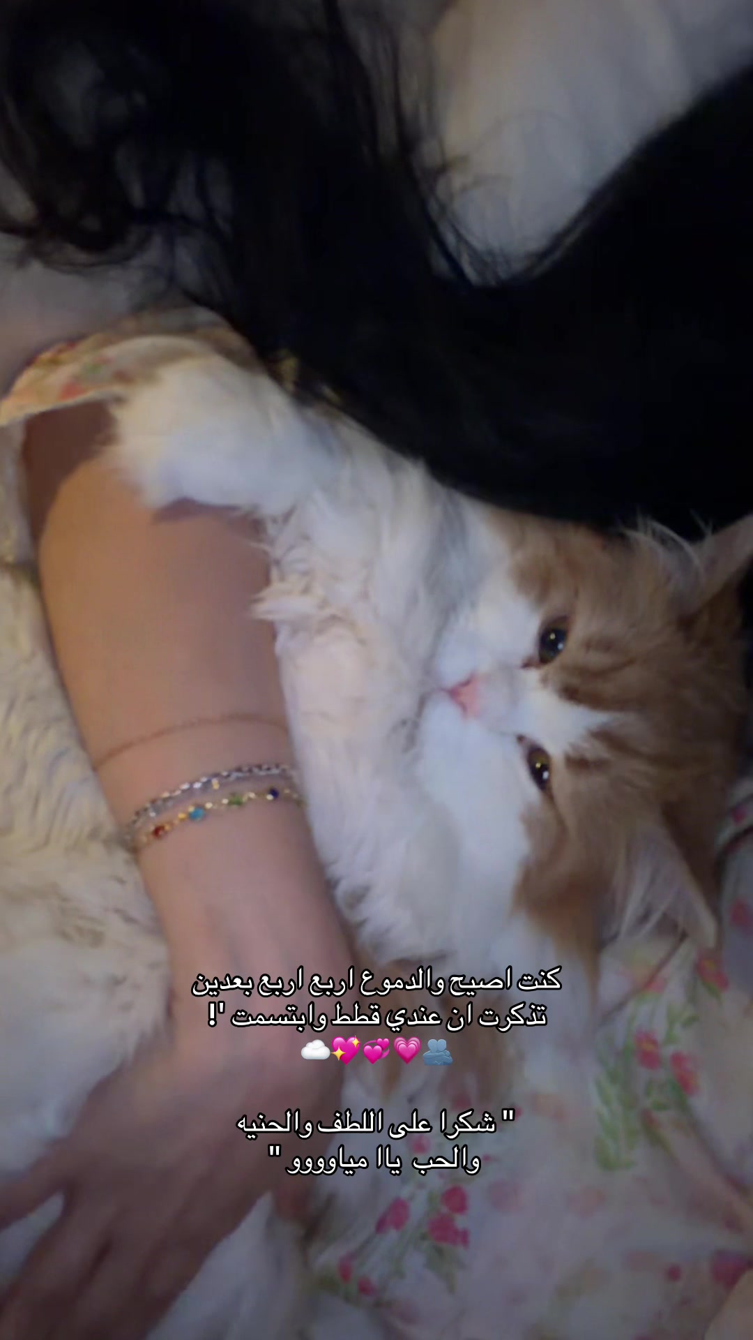 @Nouf | في بيت القطط