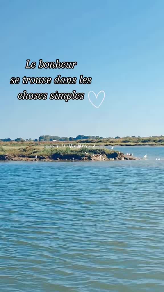 @les Reflets du Bonheur