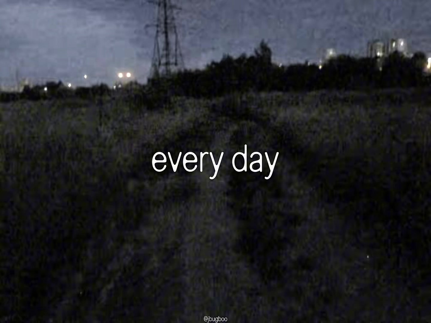 @bug