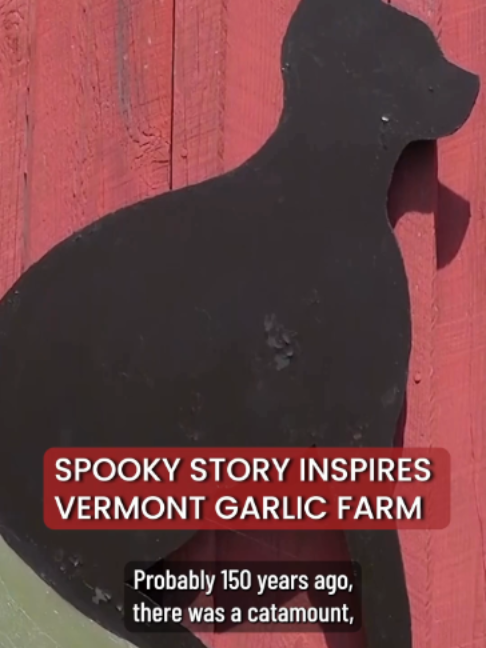 @WCAX-TV