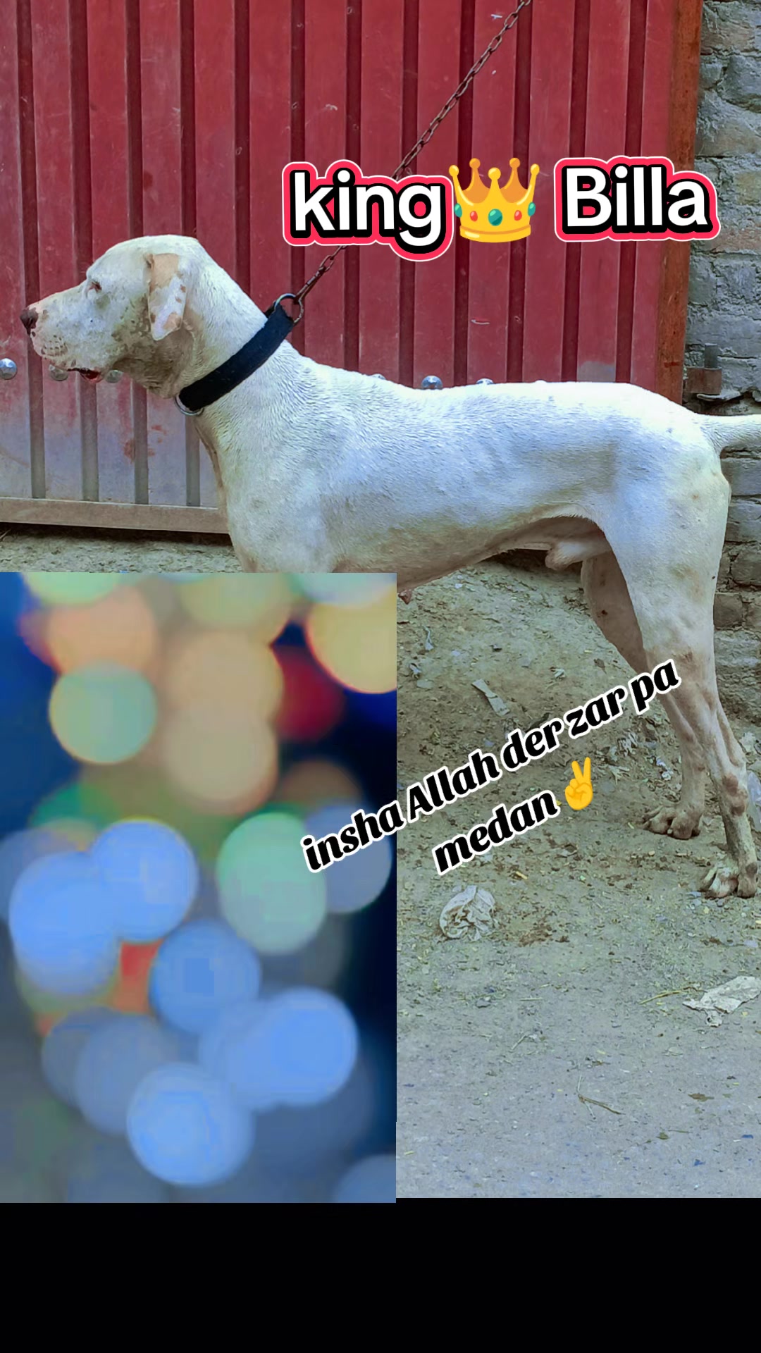 @MåTëēÑ-Khåñ__(SSåLäR ZåÏ