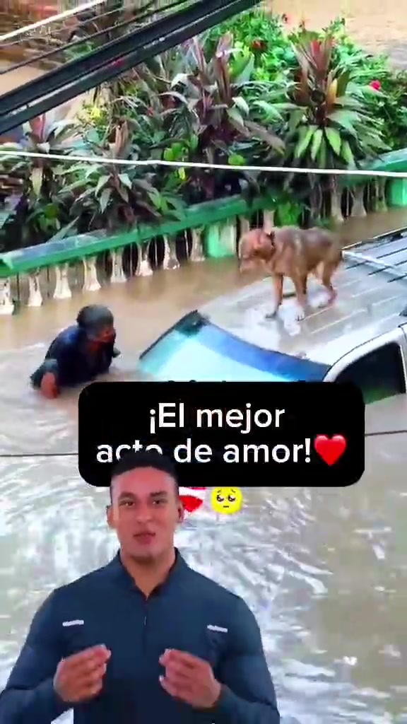 @infomx