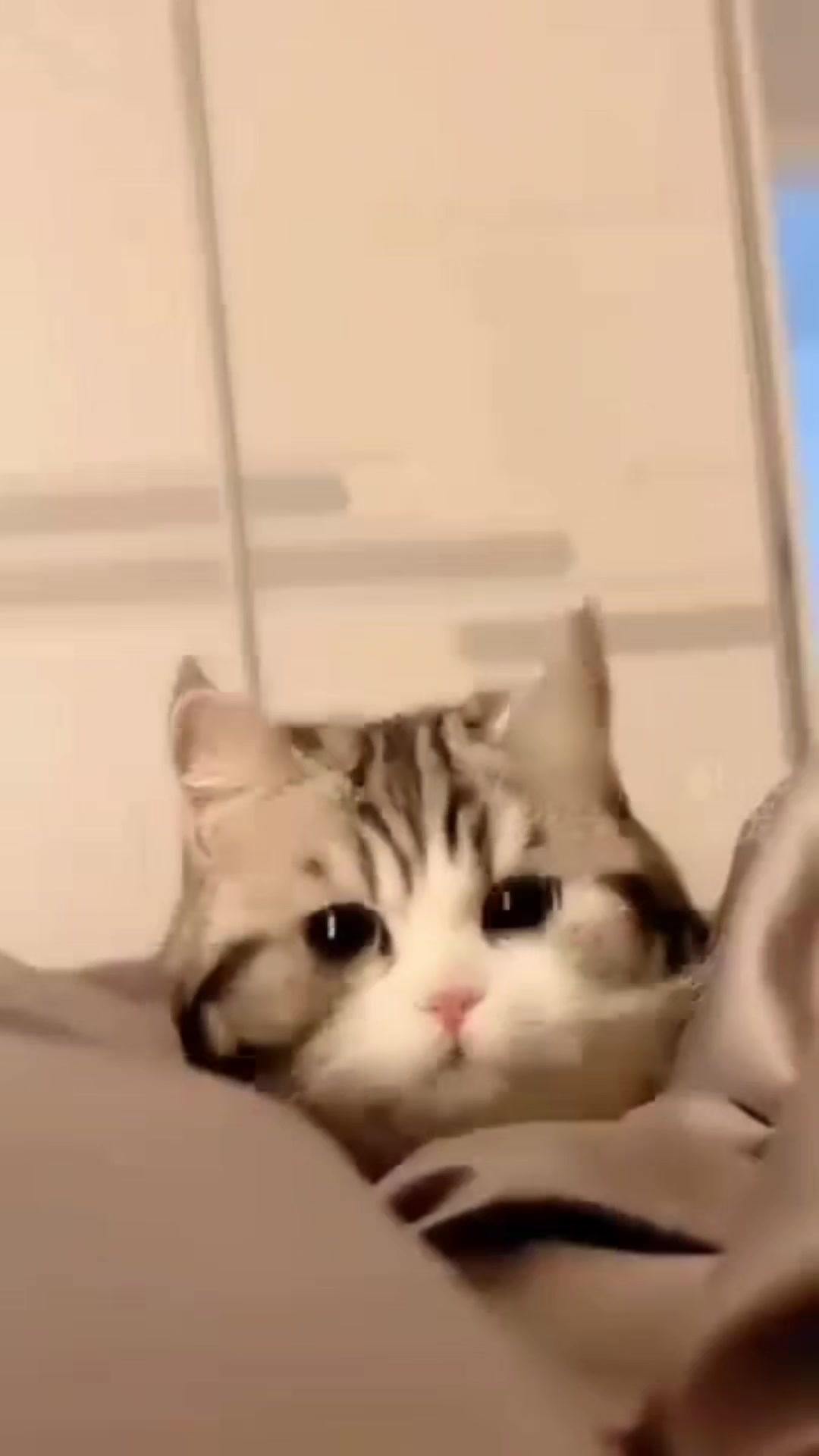 @jessjess