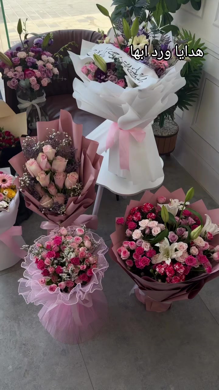 @مندوب ابها