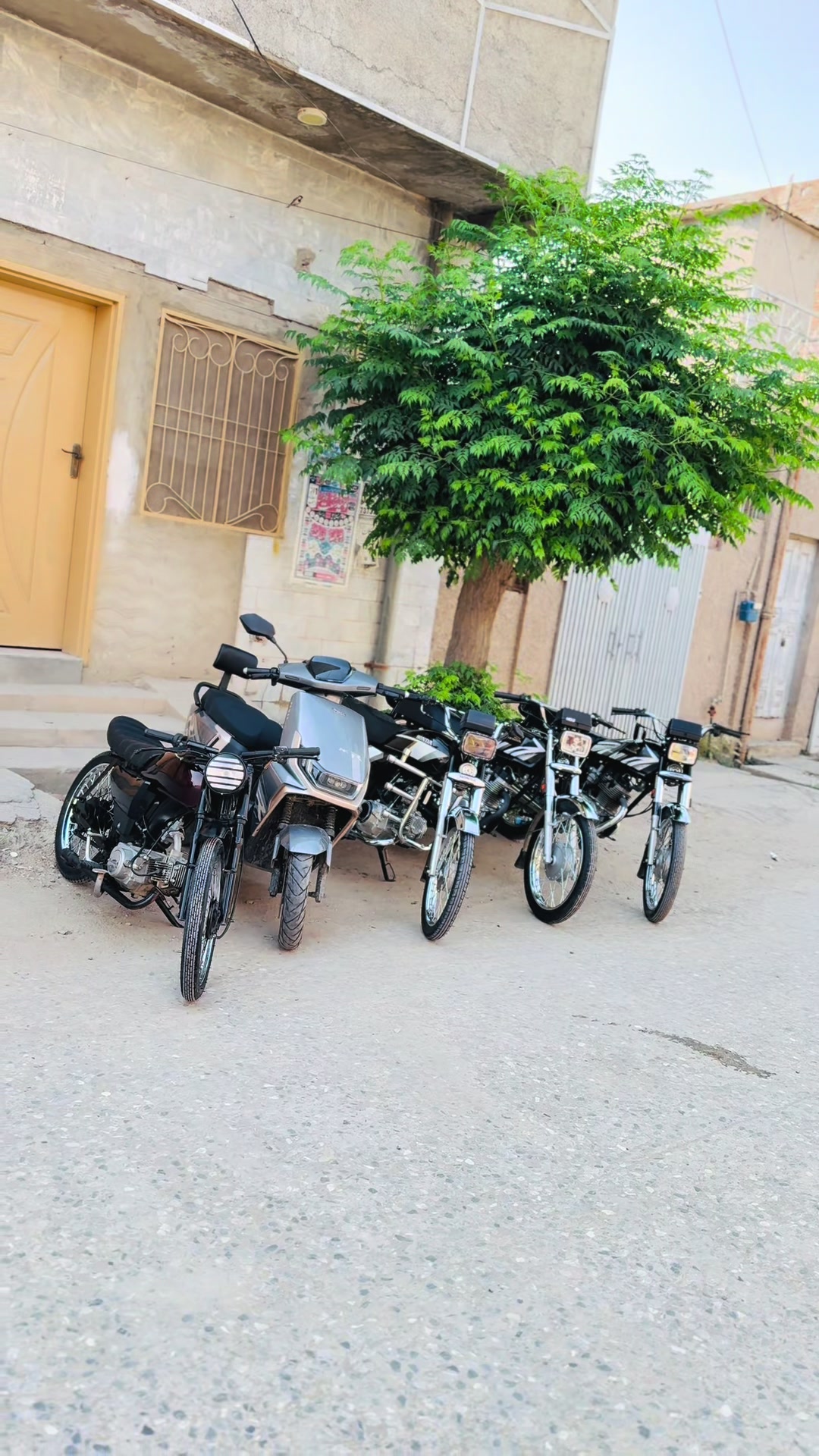 @⚜️معیز⚜️