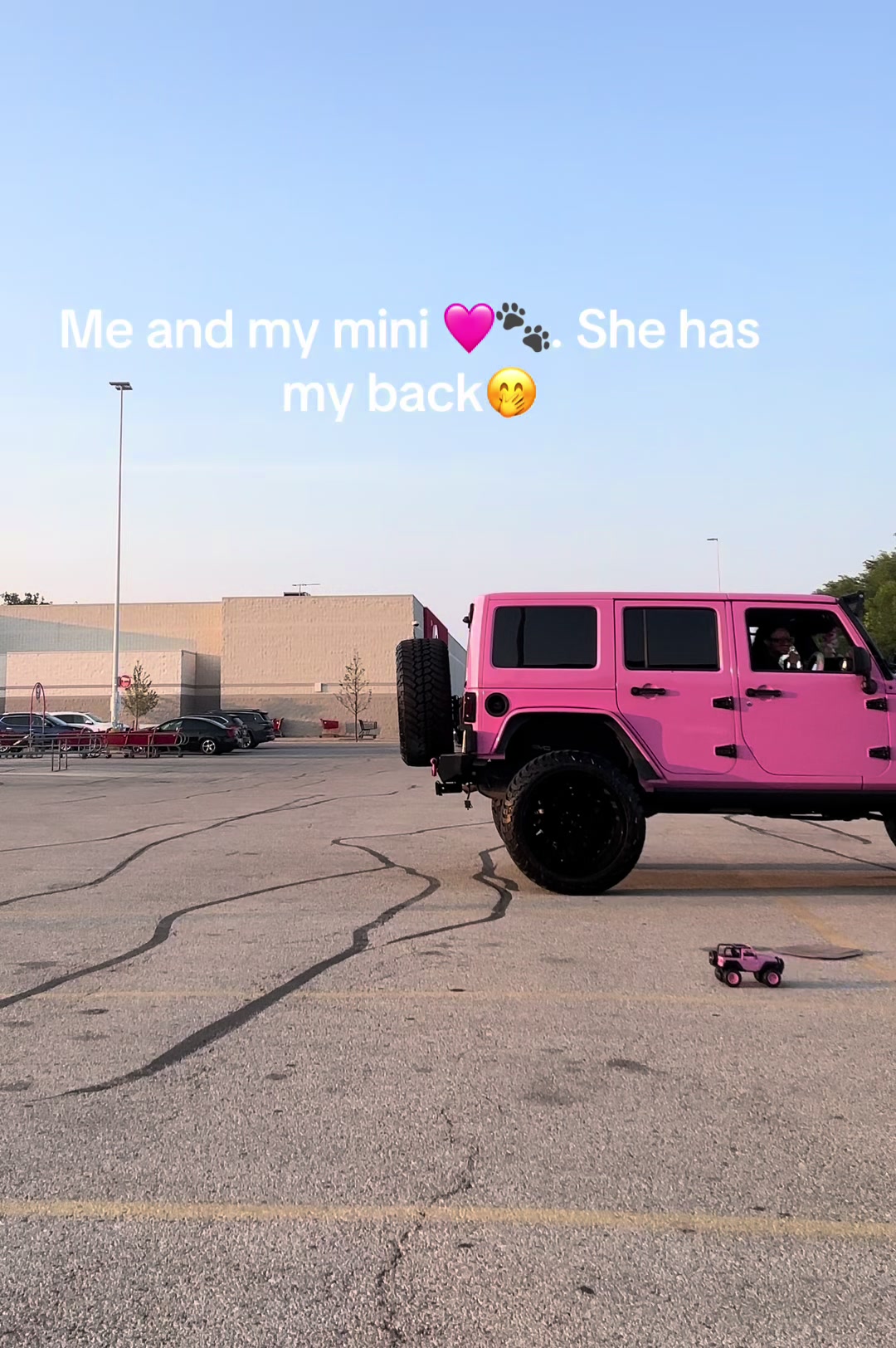 @Pink Panther Jeep 🩷🐾