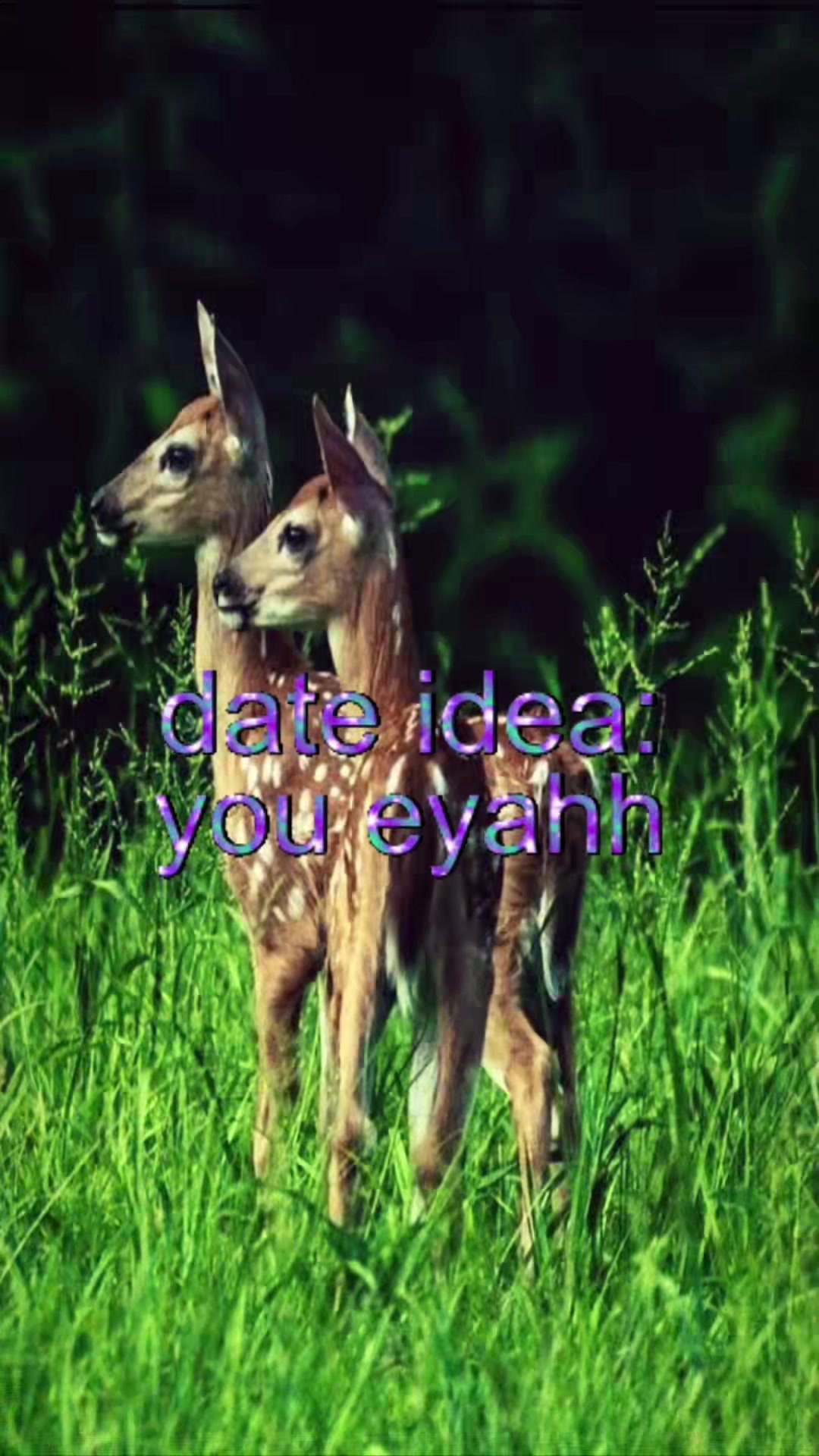 @livinlikedis
