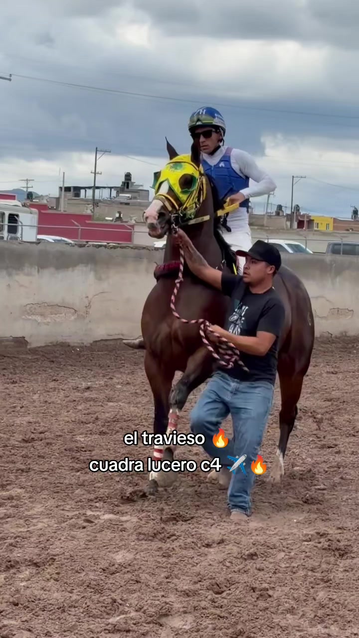 @carriles altos de jalisco🐎