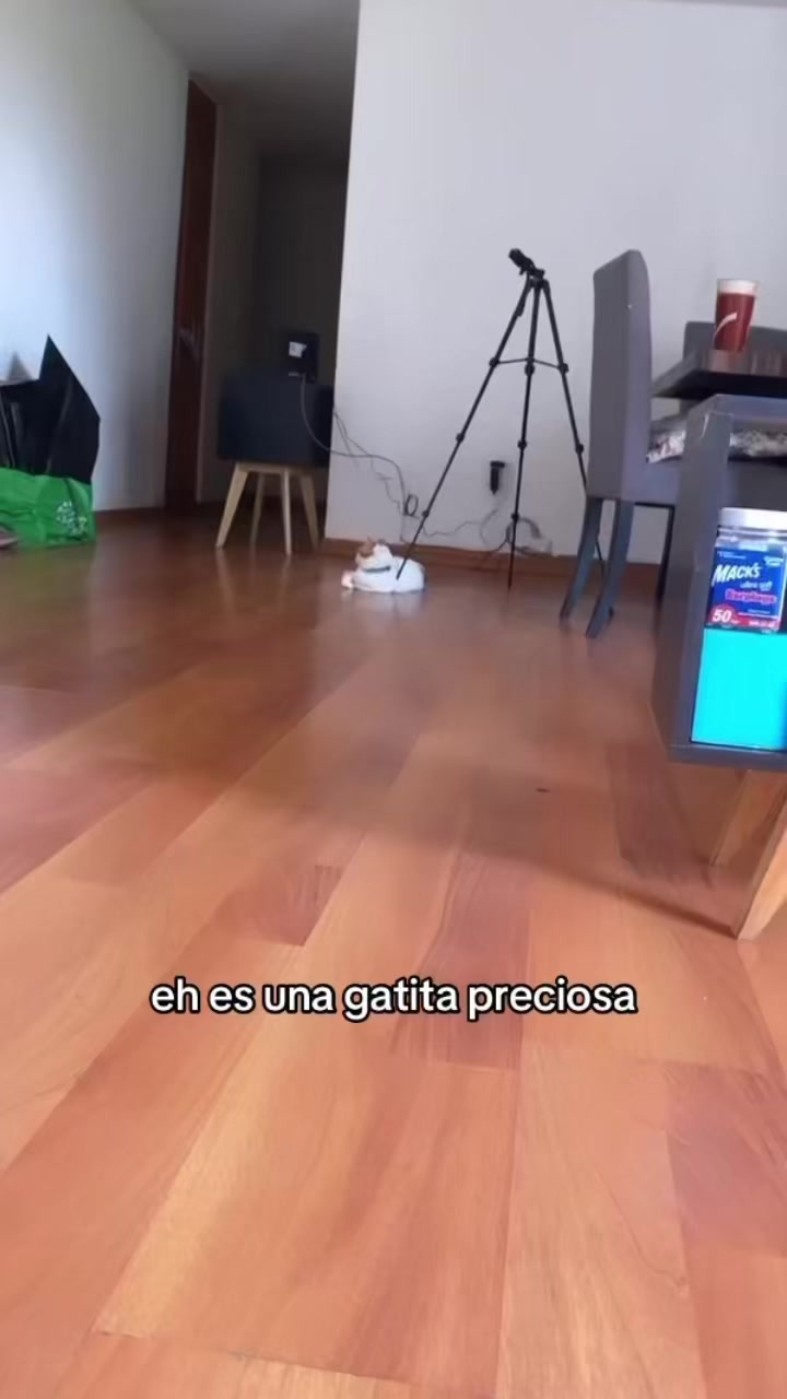 @Mariana Reyes