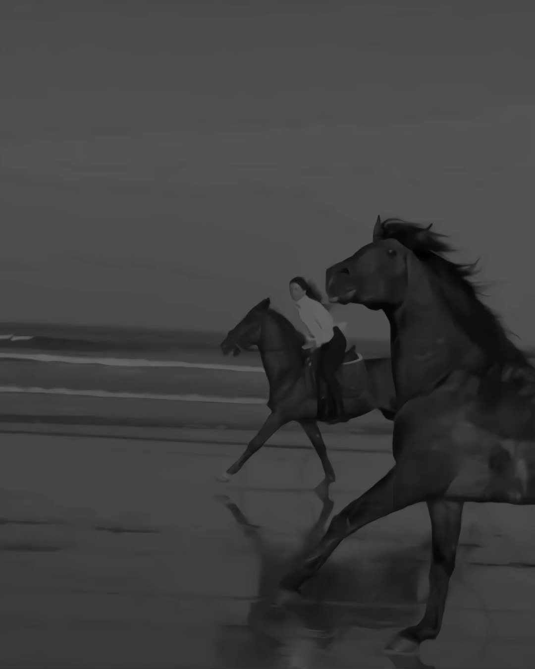 @𝐎𝐲𝐞_𝐁𝐚𝐠𝐡𝐢 𓀍