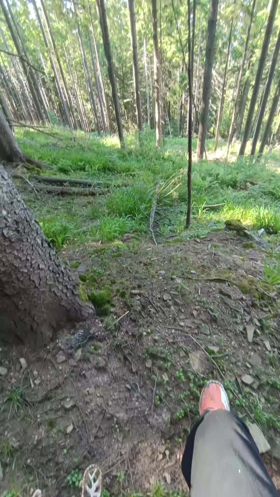 @Vanya_MK.🐊