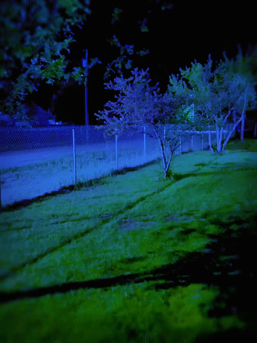@𖤐 natturealie~ 🪶