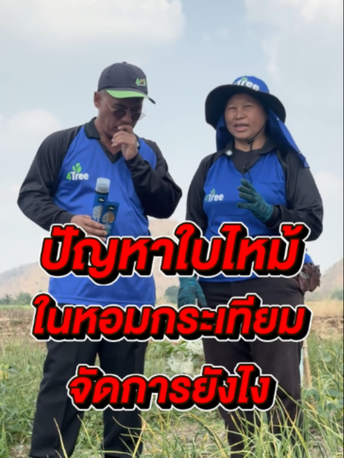 @4Tree A4S Thailand