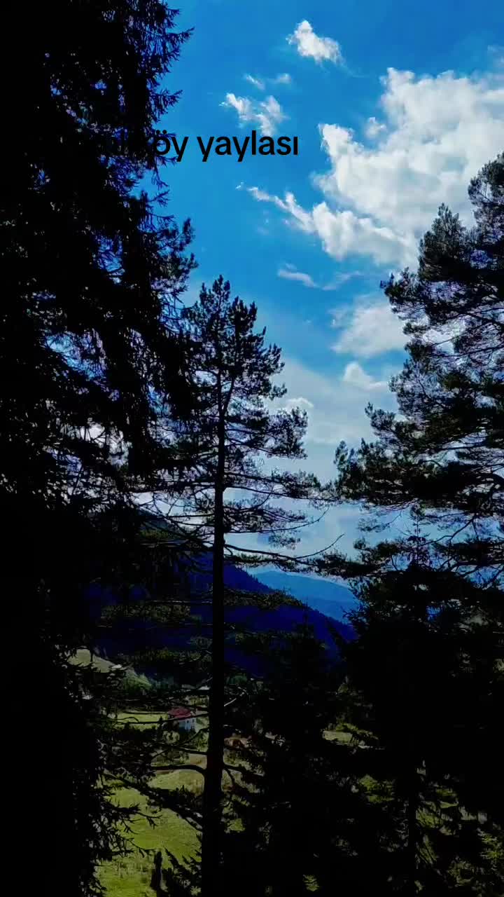 @_Hafizali61