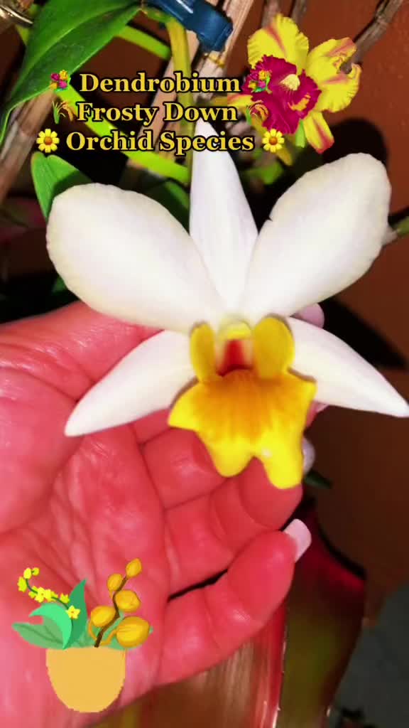 @Jacquie28