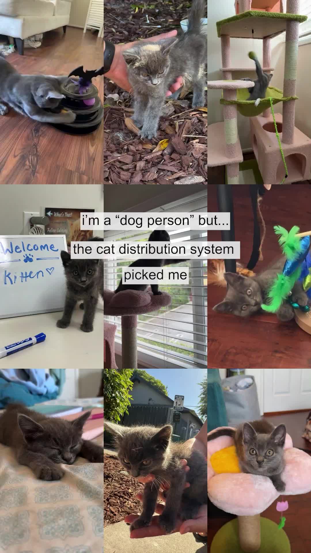 @Mutual Rescue