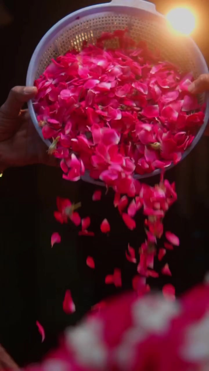 @Incredible India