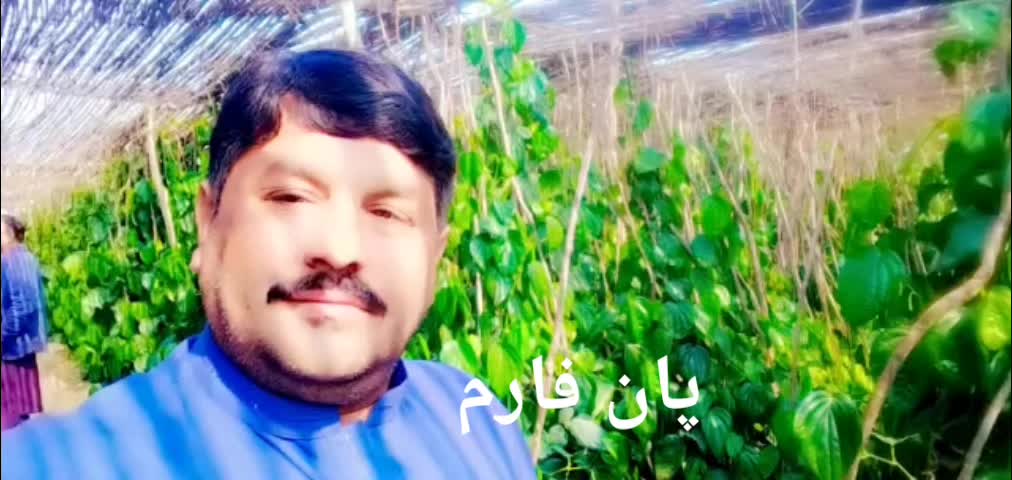 @BherulalSuther